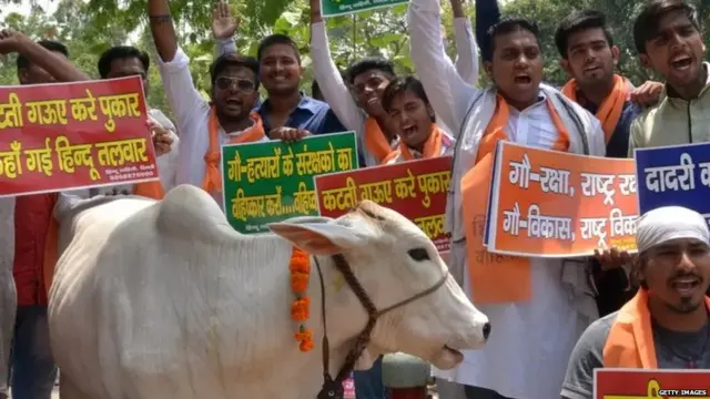 गो रक्षा