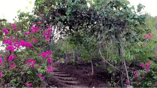 वसुंधरा अभियान