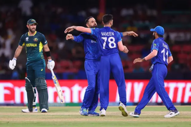 افغانستان کرېکټ