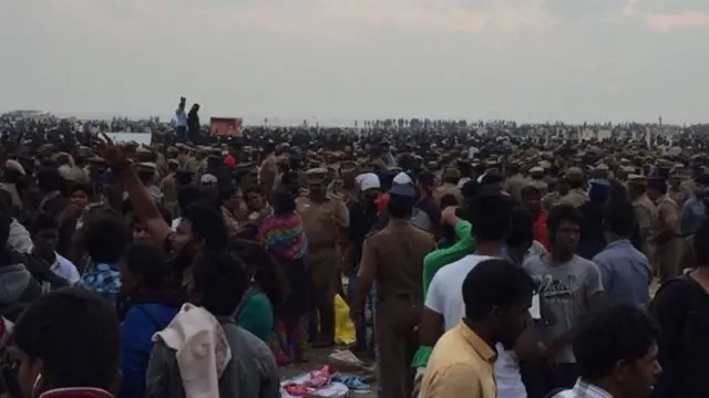 ஜல்லிக்கட்டு