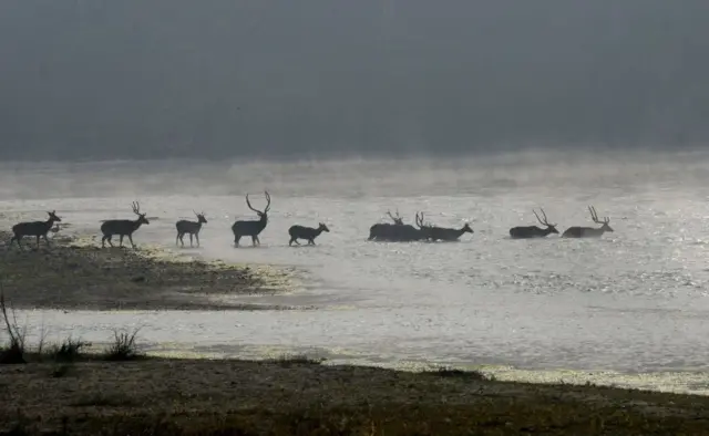 प्रातिनिधिक फोटो