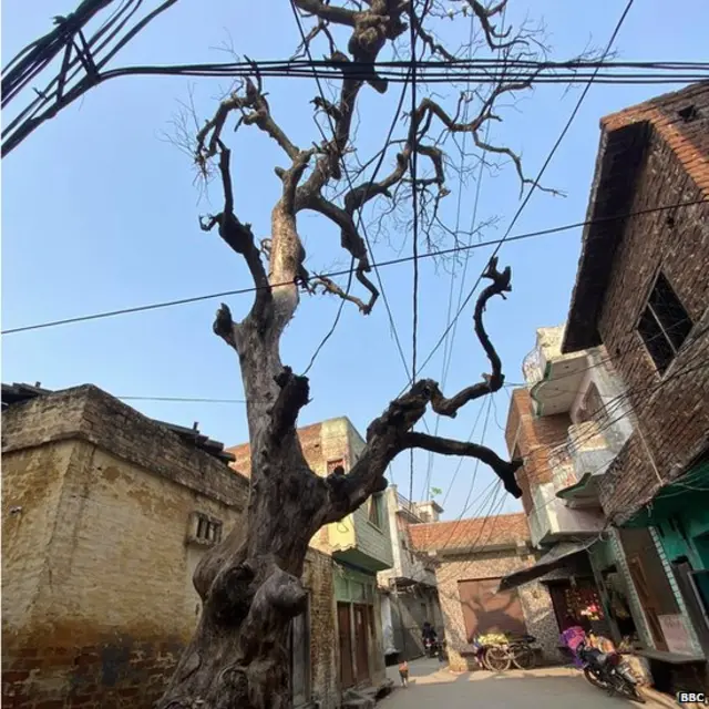 ਲਵ ਜੇਹਾਦ