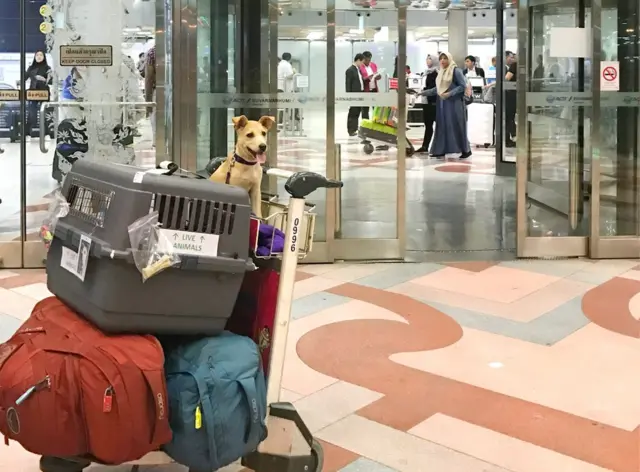 К перелету готовы!