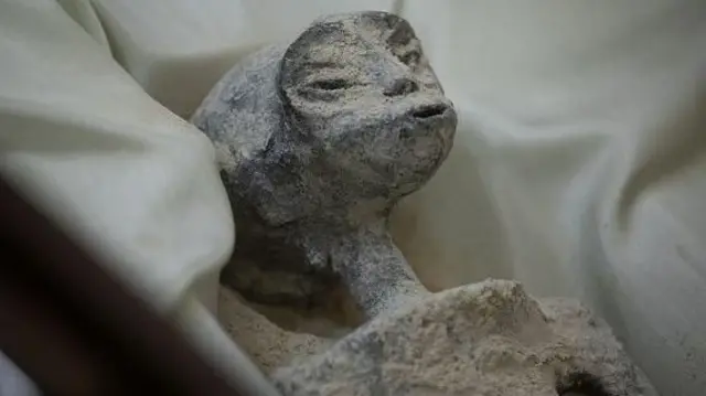 மனிதர் அல்லாத பழைய சடலங்கள்