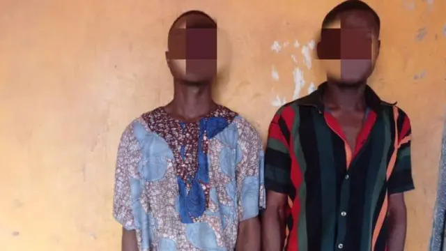 Aworan Waris ati Ajayi.