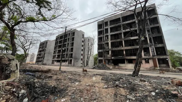 ਅਹਿਮਦਾਬਾਦ ਜਹਾਜ਼ ਹਾਦਸਾ