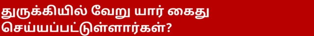 துருக்கியில் வேறு யார் கைது செய்யப்பட்டுள்ளார்கள்?