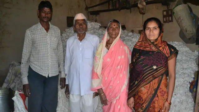 त्वचाविकारामुळे कापूस वेचण्यासाठी मजूरही मिळणं कठीण झालं आहे, असं लुटे सांगतात.