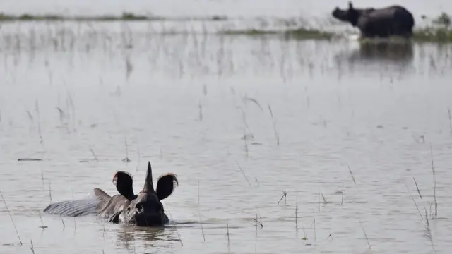 ब्रह्मपुत्र के कारण बाढ़