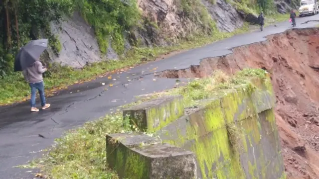 கொடைக்கானல் வனப்பகுதி