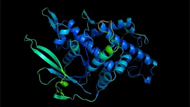 Modelo computadorizadojogar na lotofácil onlineuma proteína