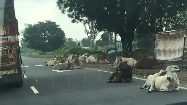 इंदौर भोपाल एक्सप्रेस हाइवे
