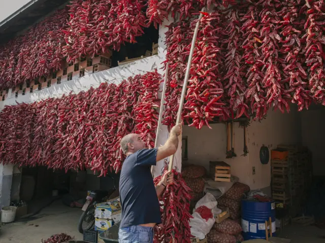 A tu su i razna pomagala da se skladišti što više paprike