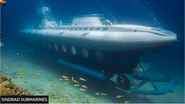 A picture of a submarine along the bottom of the ocean.
සාගර පතුලේ ඇති සබ්මැරීනයක ඡායාරූපයක්.
