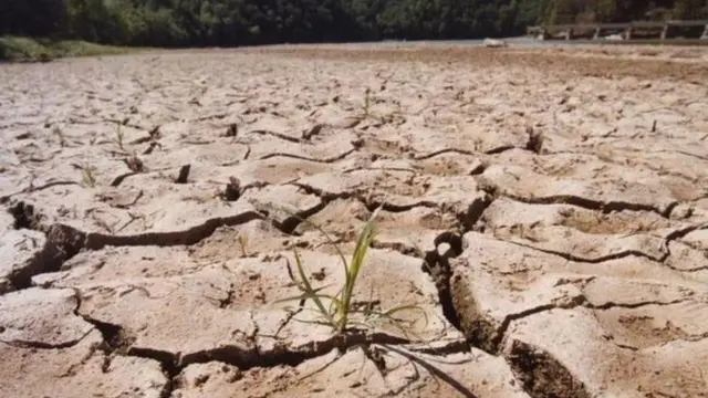 climate change 
