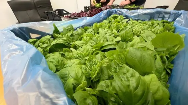 விவசாயத் தொழில்நுட்பம்