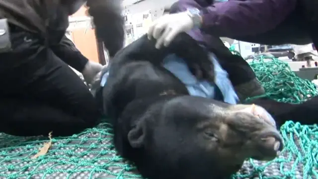 2010년 12월 생포된 꼬마의 모습