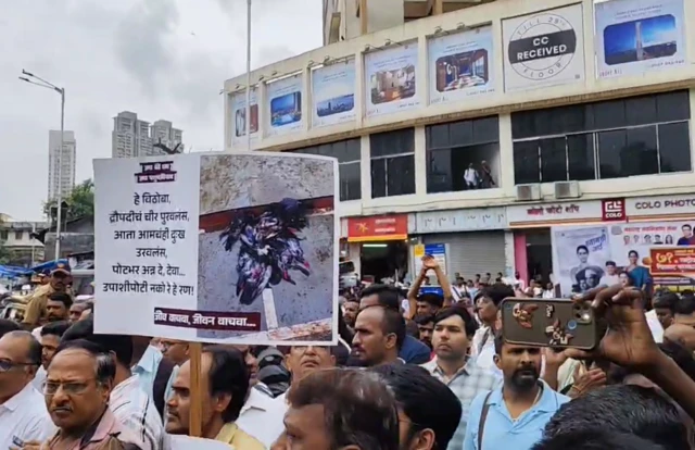 બીબીસી ગુજરાતી કબૂતર દાણા કબૂતરખાના એચપી ફાઈબ્રોસિસ હાઈપરસેન્સિટિવ ન્યુમોનાઈટિસ એલર્જી બીમારી