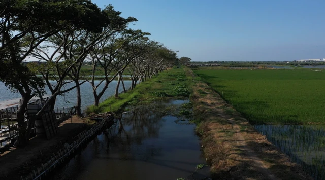 pantura, pantai utara jawa, tenggelam, PSN, KEK, industri