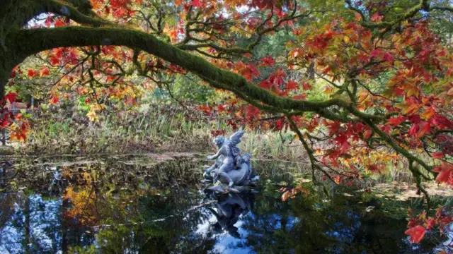 Un estanque sereno que refleja el follaje otoñal, con una rama de árbol cubierta de musgo arqueada en lo alto y una estatua de una figura alada en el agua.