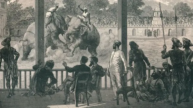 વડોદરાની તસવીર