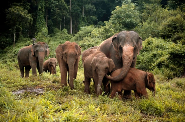 ‘ሰበይቲ ዝመርሐቶ ሞት ኣይፈርሕን’ - ሓራምዝ ብደቂ ኣንስትዮ እዮም ዝምርሑ።