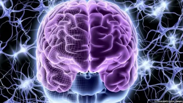 प्रातिनिधिक फोटो