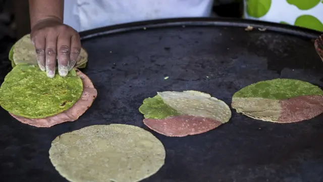 Tortillas tricolor
