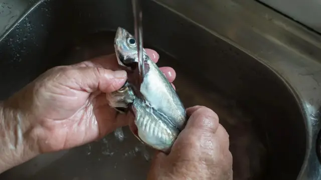 생선을 세척하는 손 모습