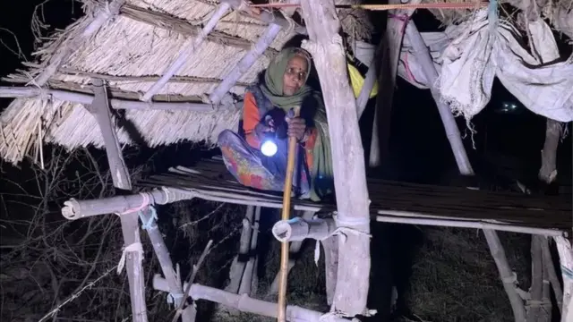 అర్ధరాత్రి పొలంలో మంచె మీద నుంచి కాపలా కాస్తున్న మహిళ