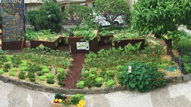 تدير شركة "تير دو موناكو" خمسة مزارع صغيرة في موناكو، منها هذه المساحة الخضراء التي لا تتعدى 30 مترا مربعا في مؤسسة الأمير ألبرت الثاني أمير موناكو