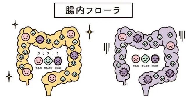 পেটের খারাপ/ভালো ব্যাকটেরিয়া শরীরকে একটি ভারসাম্যের মধ্যে রাখে। 