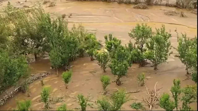 سیلاب زمینهای زراعتی را تخریب کرده