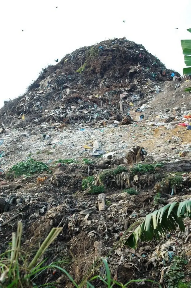 குப்பைமலை