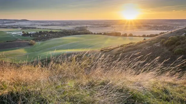 Бедфордшир