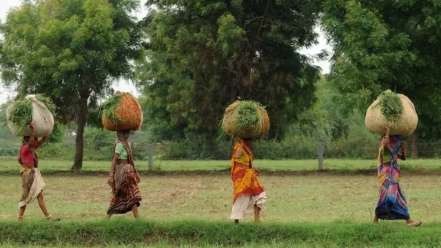 પ્રતીકાત્મક તસવીર