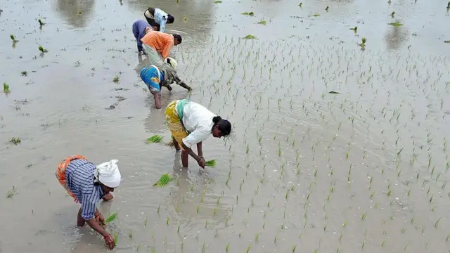 సాగునీరు, నైట్రేట్