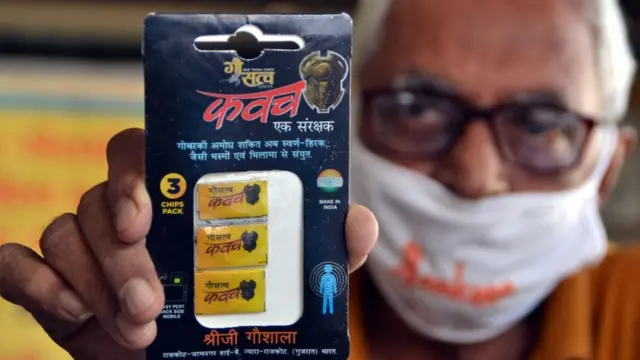 ગૌસત્વ ચિપ