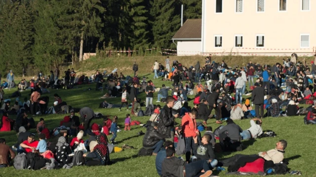 تعداد زیادی که در محوطه چمن نشستهاند