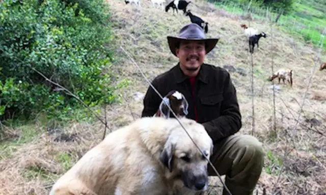 మైఖెల్ చోయ్