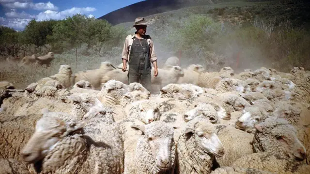 Вівчар з отарою в горах