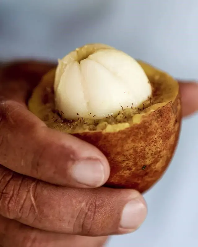 Cupuaçu