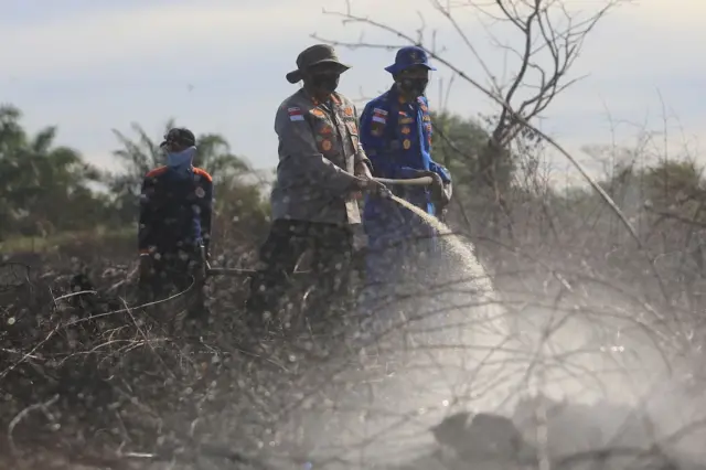 Pascakebakaran hutan di Cot Seumeureung, Aceh Barat