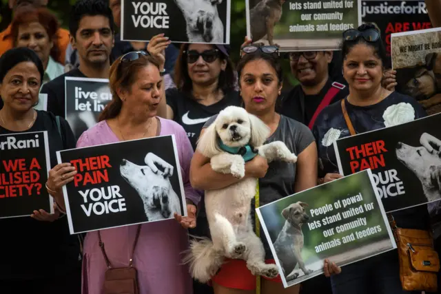 လမ်းဘေးခွေးတွေ အစာကျွေးခွင့်ရဖို့ ဆန္ဒပြ