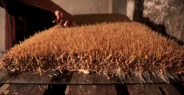 Блюдо сумолок