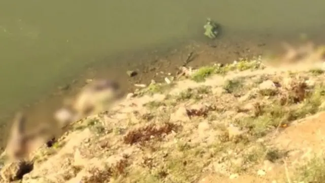 ગંગા નદીના કાંઠે મૃતદેહો