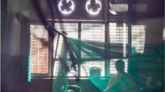 डेङ्गी सङ्क्रमित