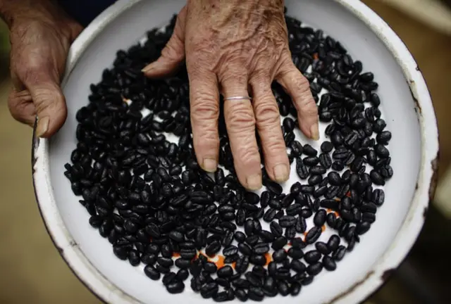 कॉफी बीन्स