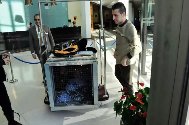 Manno aliwasili katima kituo cha Ol Pejeta nchini Kenya mnamo Novemba 30