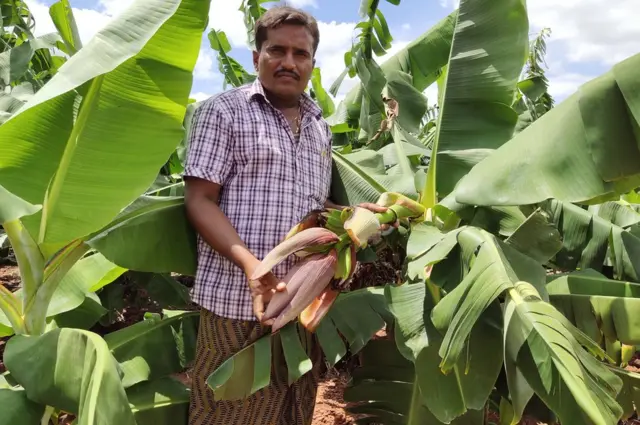 కడప యురేనియం ప్రాజెక్టు